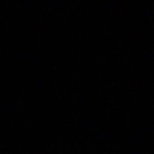 Meet your Posher, Dynasty